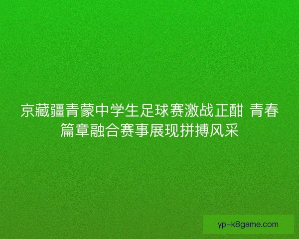 京藏疆青蒙中学生足球赛激战正酣 青春篇章融合赛事展现拼搏风采